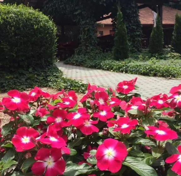 Aamiaismajoitus (B&B) Szépasszony Fogadó