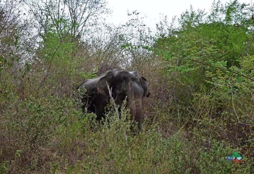 Nil Bawana Nature Resort