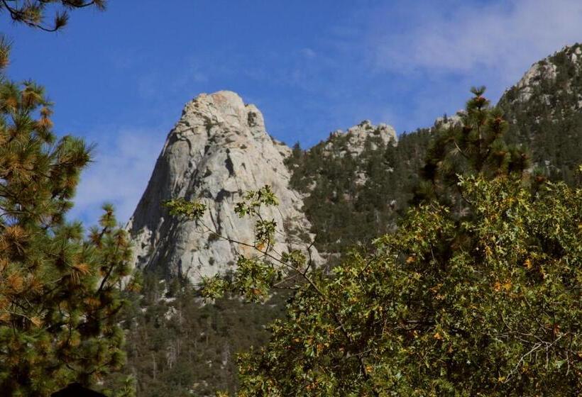 تختخواب و صبحانه The Grand Idyllwild Lodge