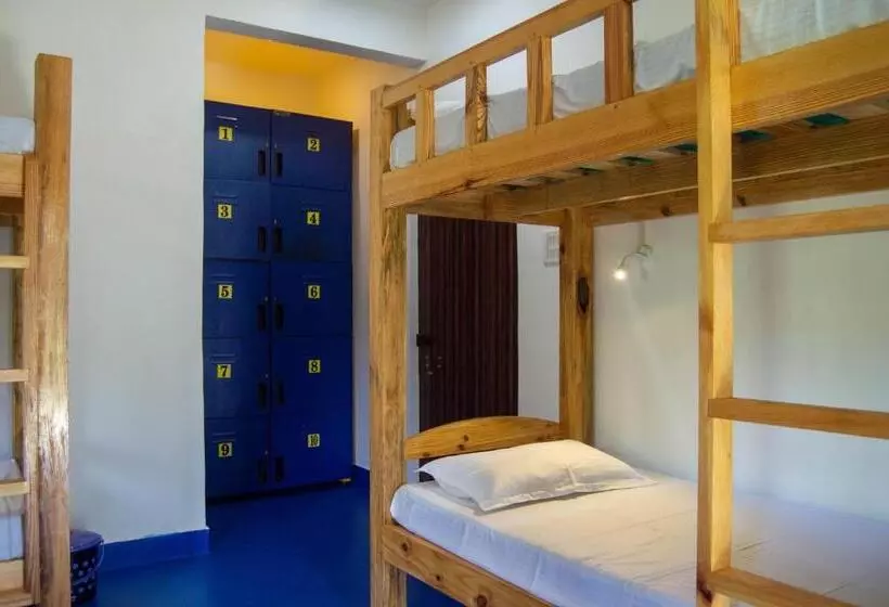 Green Nest Hostel, Baga   Arpora