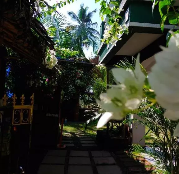 Green Nest Hostel, Baga   Arpora
