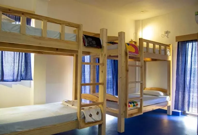 Green Nest Hostel, Baga   Arpora
