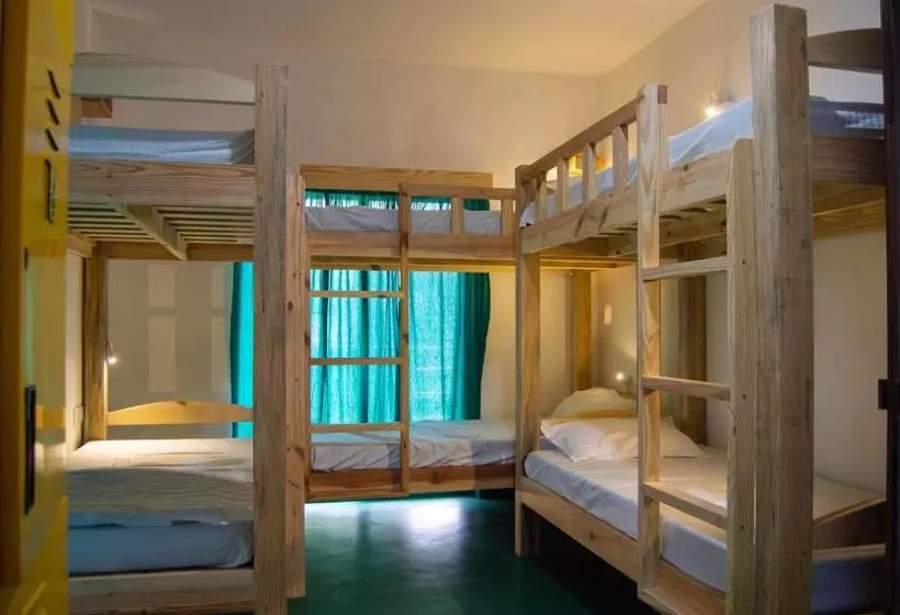 Green Nest Hostel, Baga   Arpora