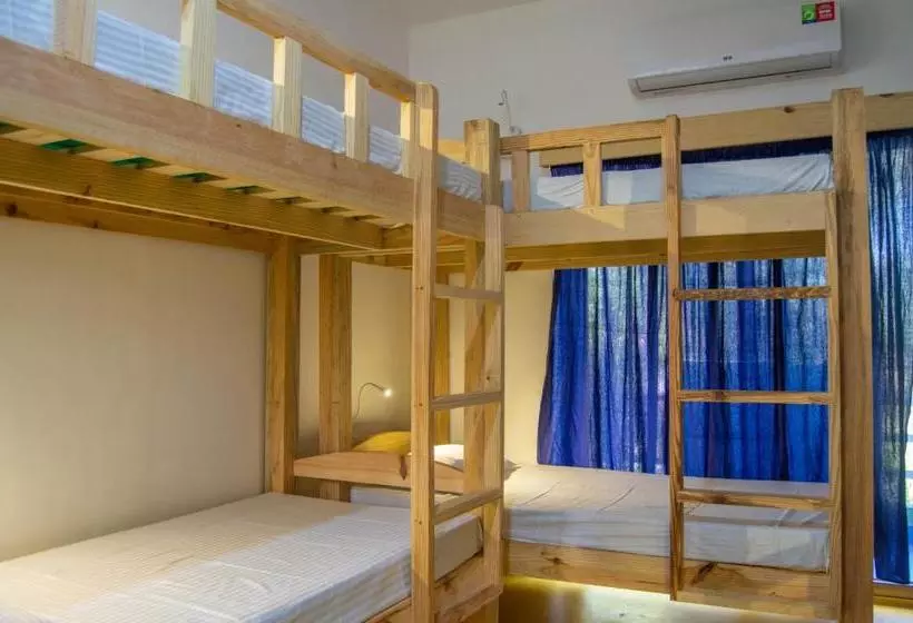 Green Nest Hostel, Baga   Arpora