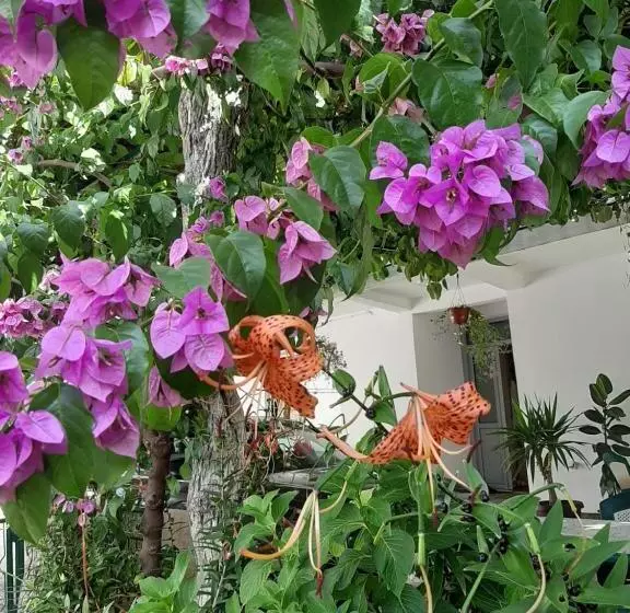 پانسیون Guesthouse Dona