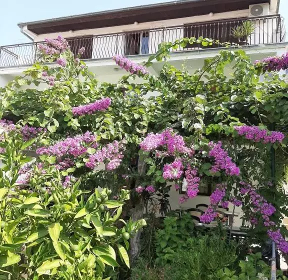 پانسیون Guesthouse Dona