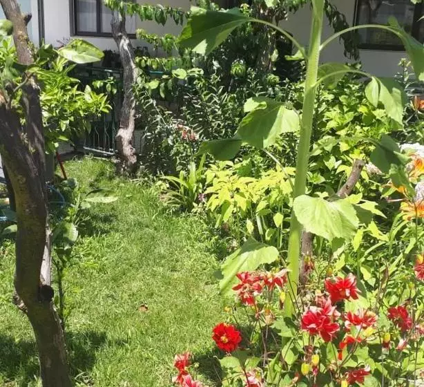 پانسیون Guesthouse Dona