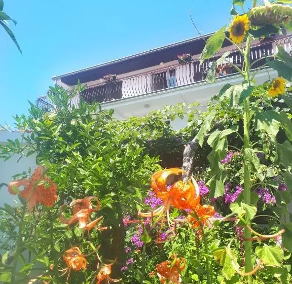 پانسیون Guesthouse Dona