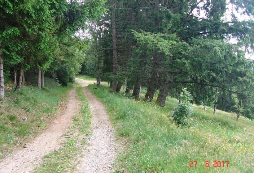 ペンション Les ô Welches Côté Lac