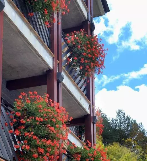 Apartaments Turistics Sant Roma