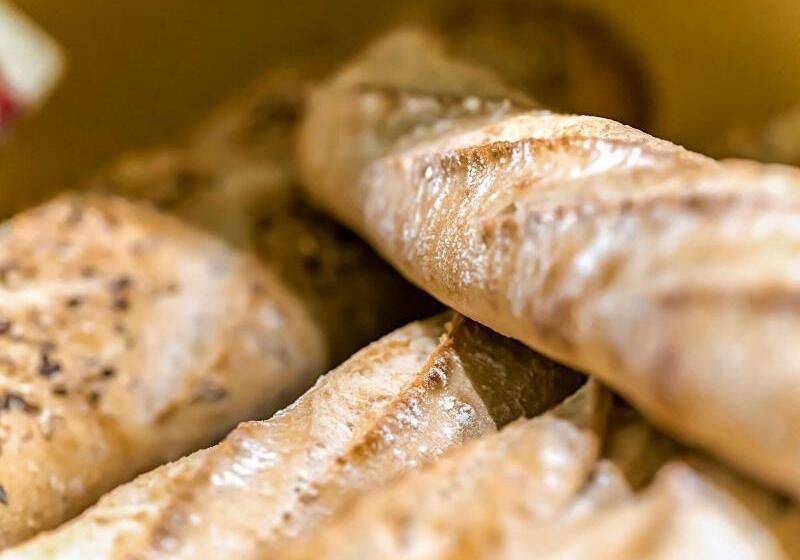 Otel Ibis Budget Strasbourg Sud Illkirch