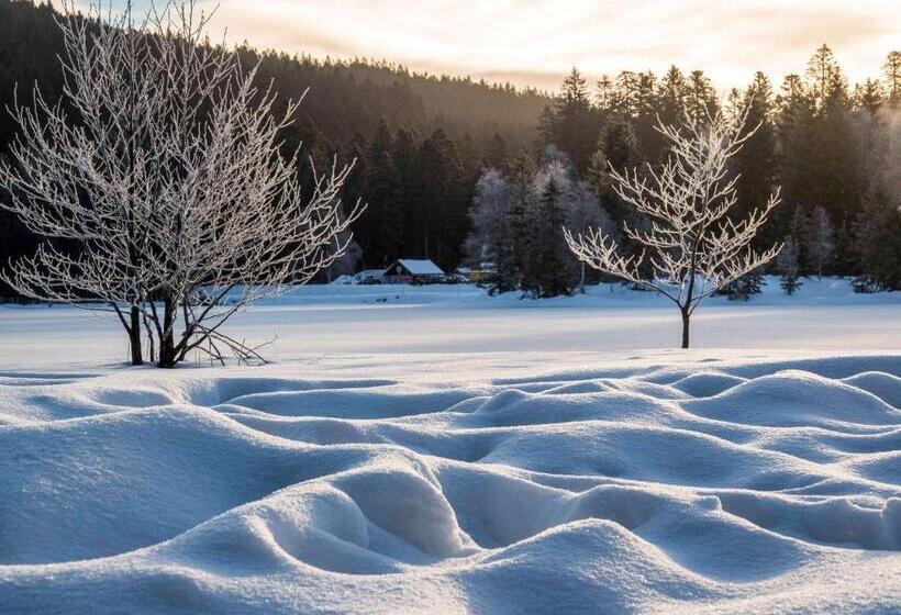 فندق Ibis La Bresse Gerardmer