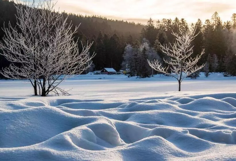 酒店 Ibis La Bresse Gerardmer