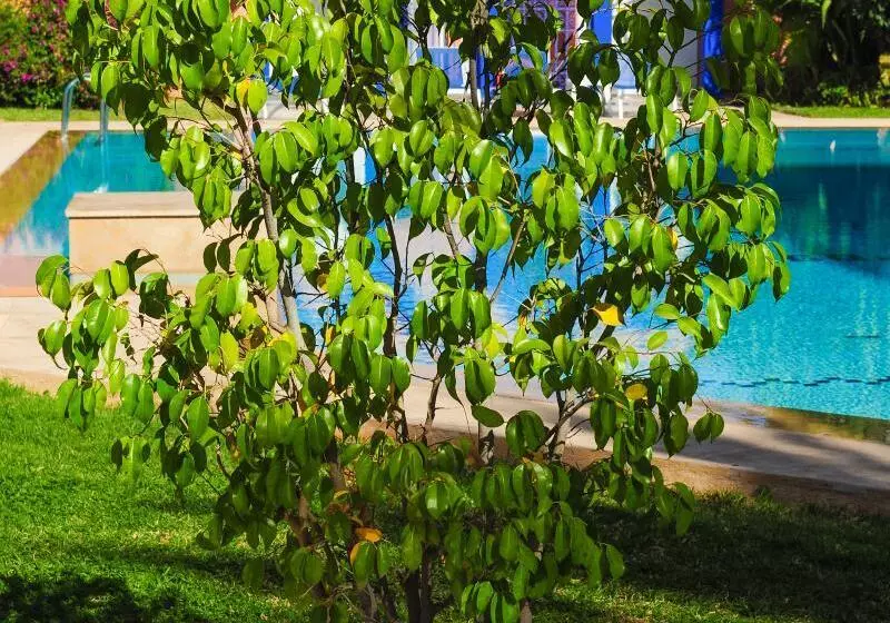 هتل Ibis Marrakech Centre Gare