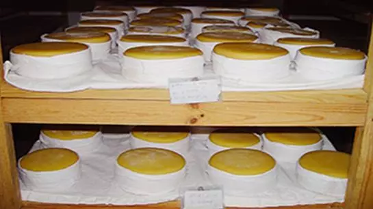 Отель Agua S Nelas Parq