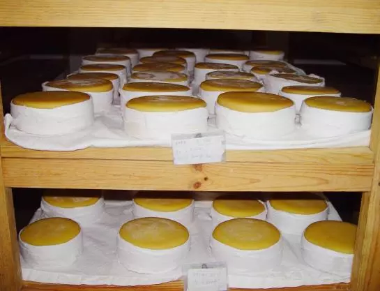 Отель Agua S Nelas Parq