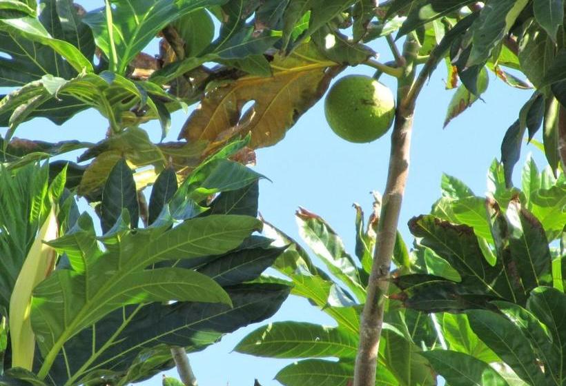 هتل Domaine De Portland