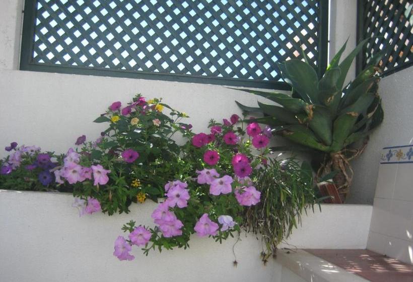 بنسيون A Casinha