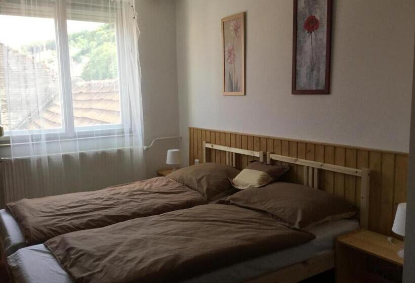 Pensjonat Avas Apartman