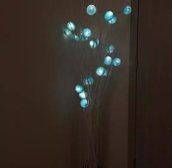 ペンション Elisa S Guesthouse