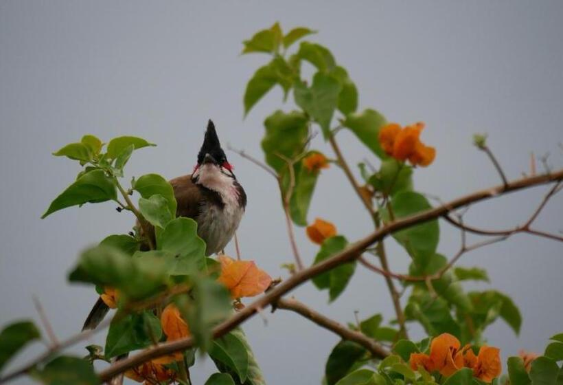 پانسیون La Kaz Ouale