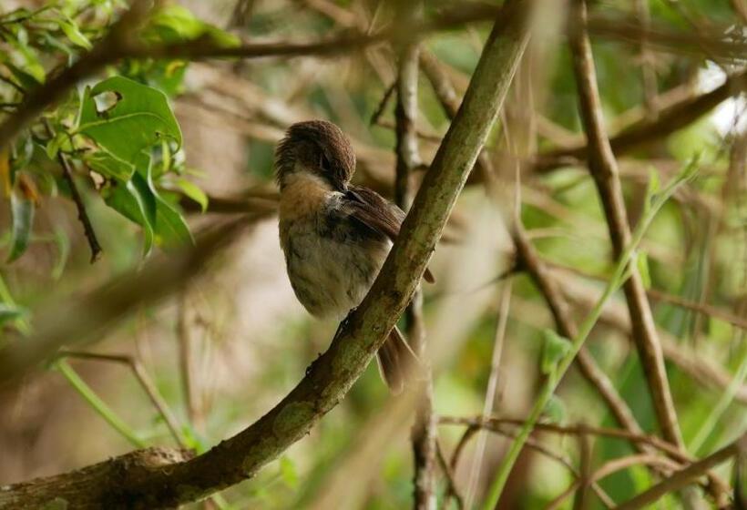 پانسیون La Kaz Ouale