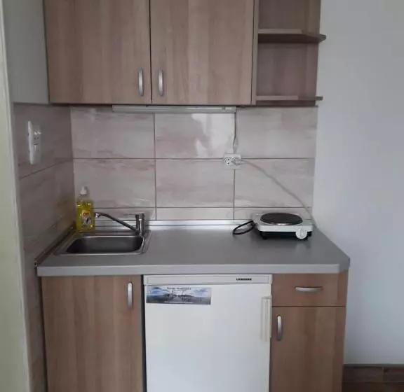 پانسیون Apartmani Milivojevic