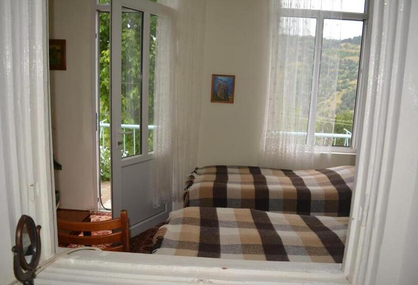 پانسیون Sweet Home