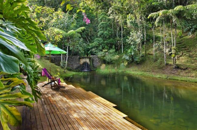 فندق Chalés Nó Da Madeira