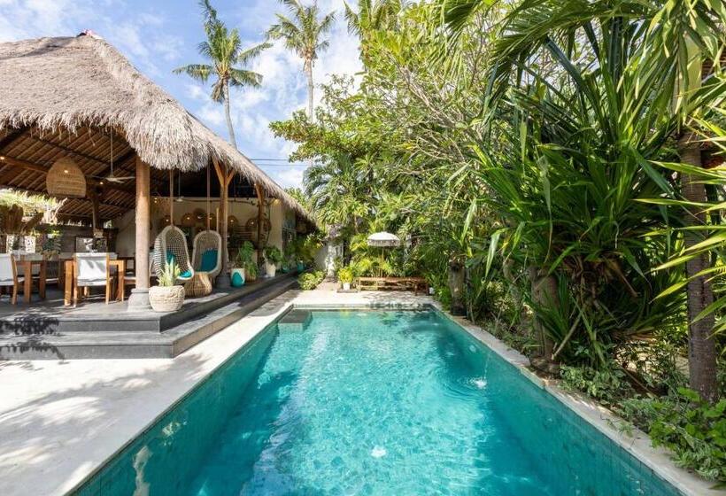 فندق Tigerlillys Boutique