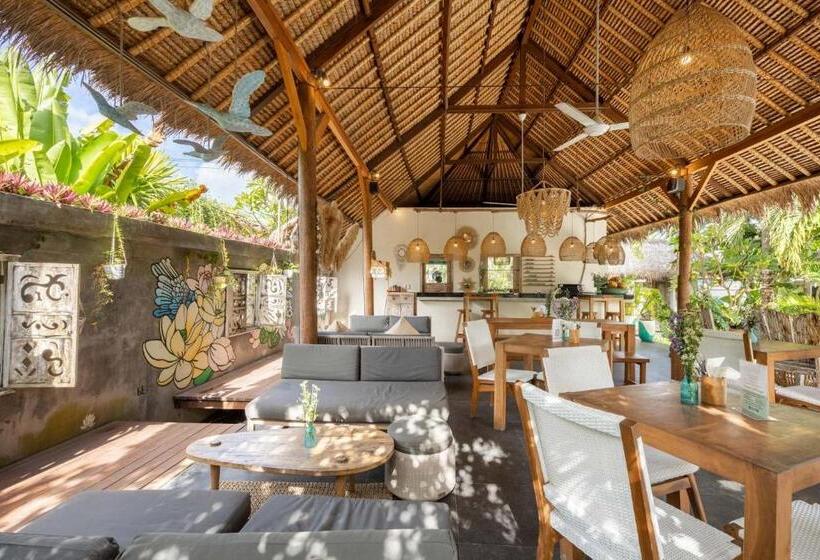 فندق Tigerlillys Boutique