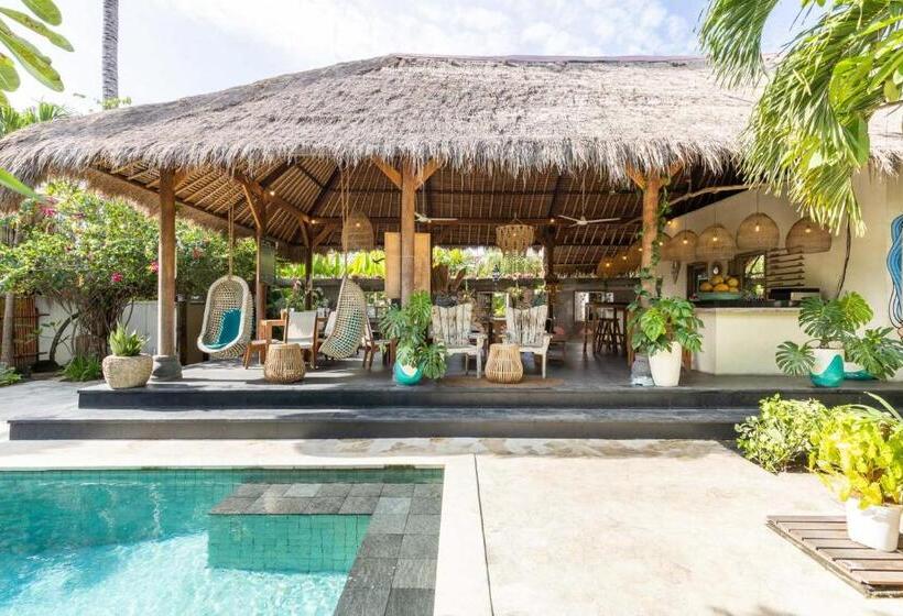 فندق Tigerlillys Boutique