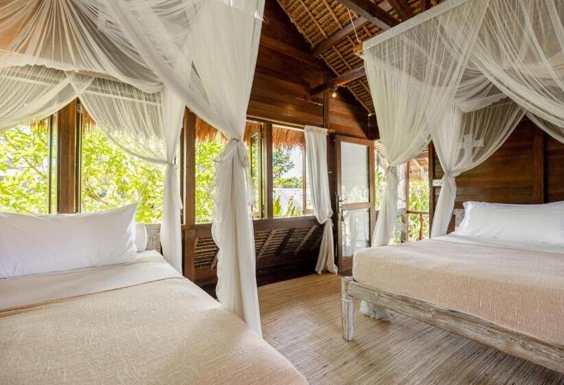 فندق Tigerlillys Boutique