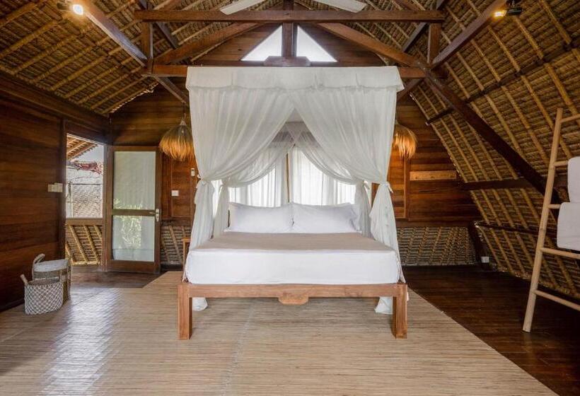 فندق Tigerlillys Boutique