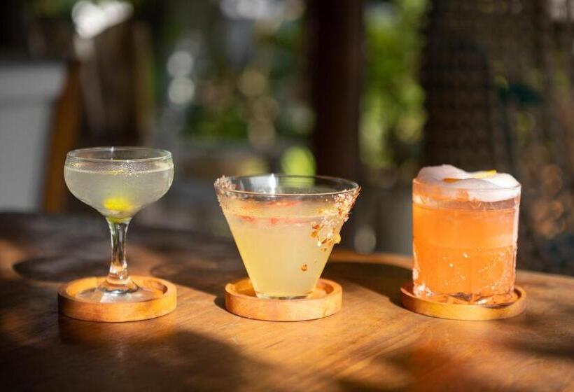 فندق Tigerlillys Boutique