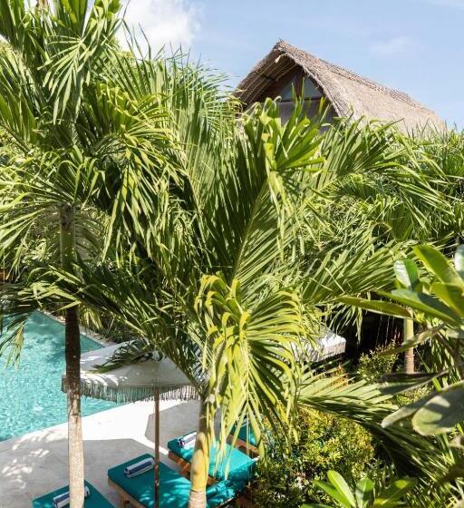 فندق Tigerlillys Boutique