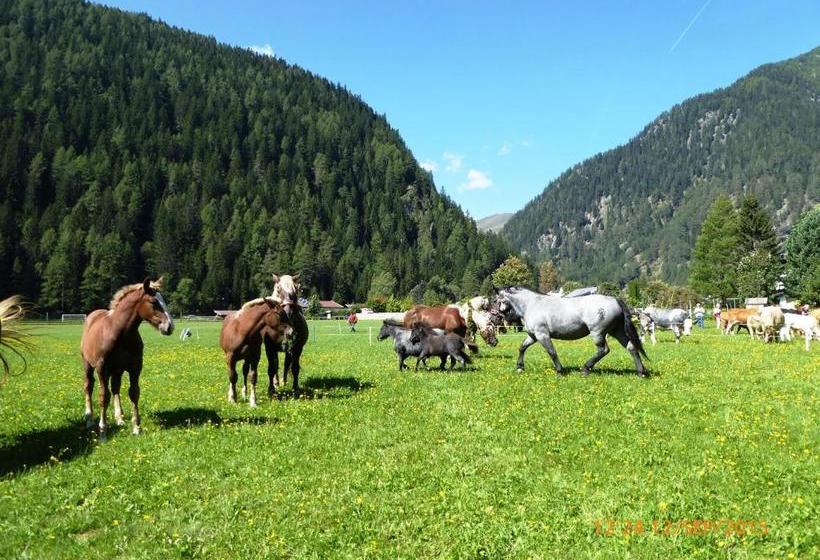 ペンション Gästehaus Truskaller