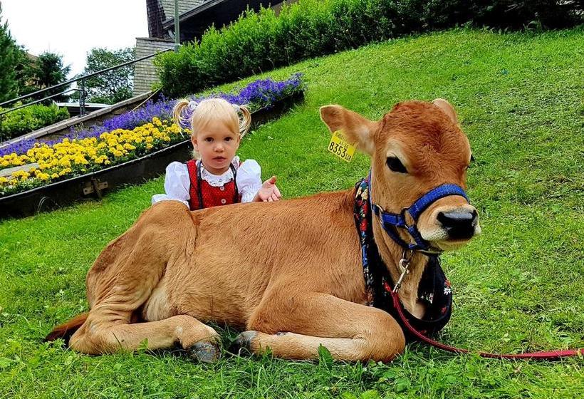 Пансион Gästehaus Truskaller