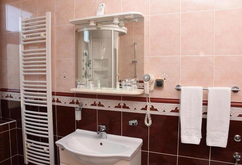 پانسیون Guest House Vila Lujza