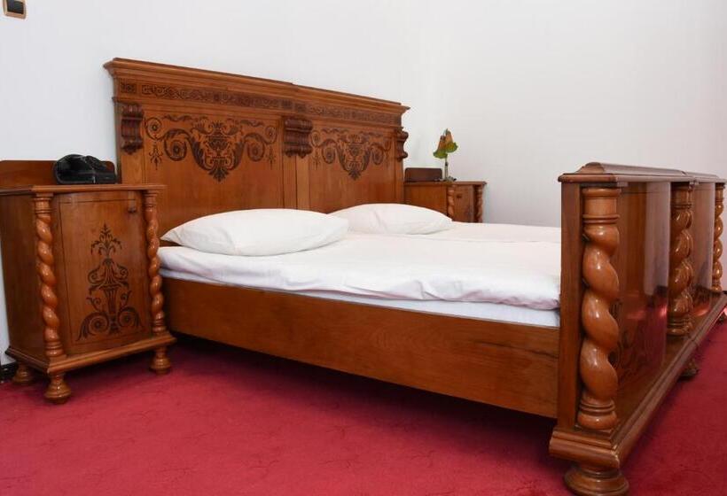 پانسیون Guest House Vila Lujza