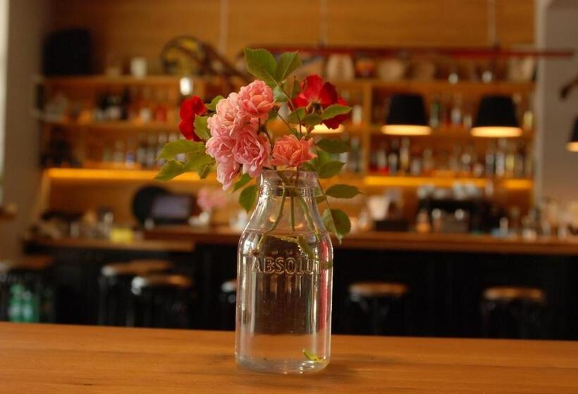 White Lavina Ski, Bike, Hike