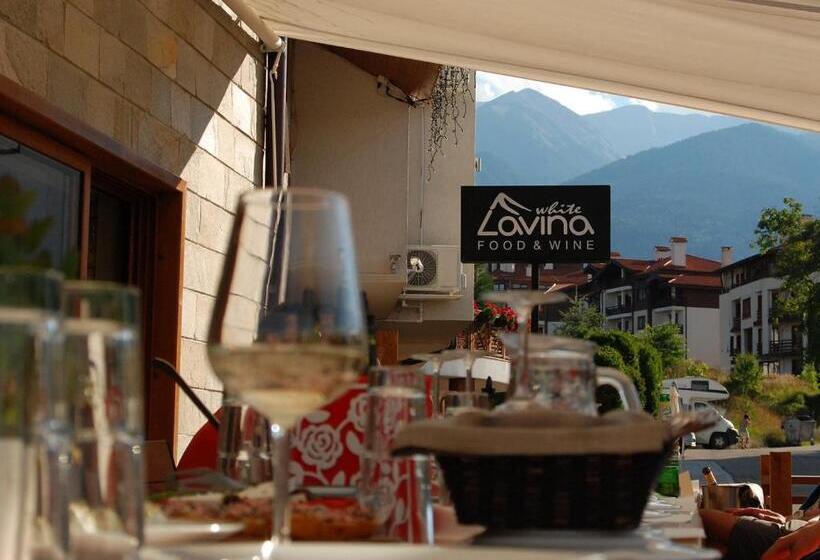 White Lavina Ski, Bike, Hike