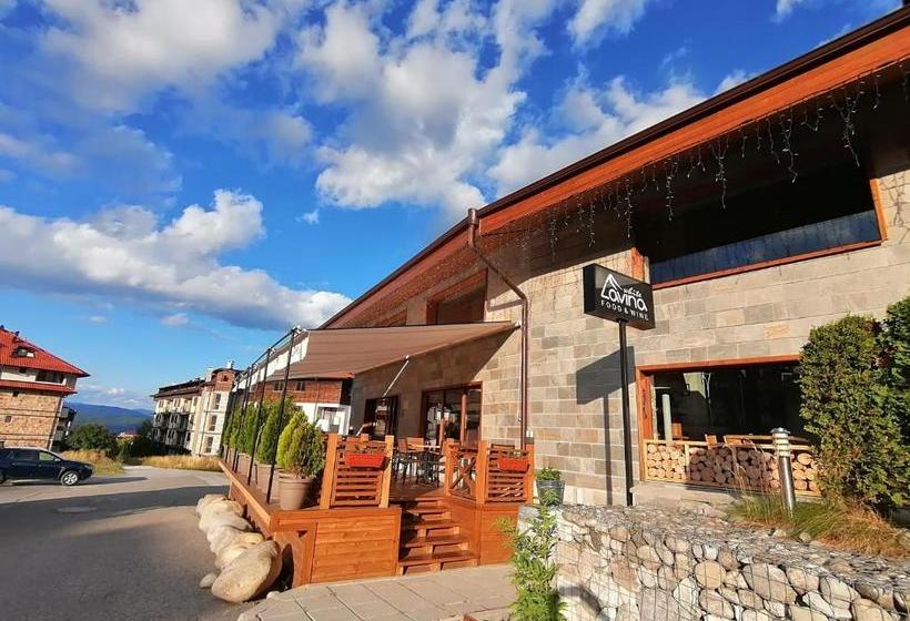 White Lavina Ski, Bike, Hike