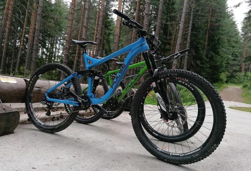 White Lavina Ski, Bike, Hike