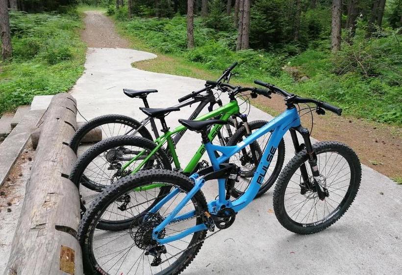 White Lavina Ski, Bike, Hike