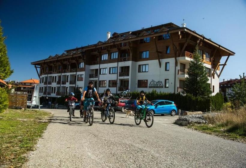 White Lavina Ski, Bike, Hike