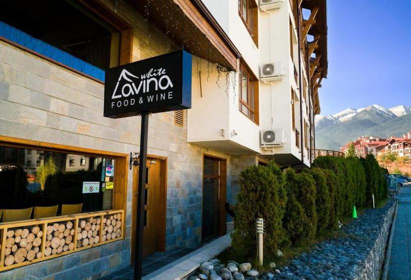 White Lavina Ski, Bike, Hike