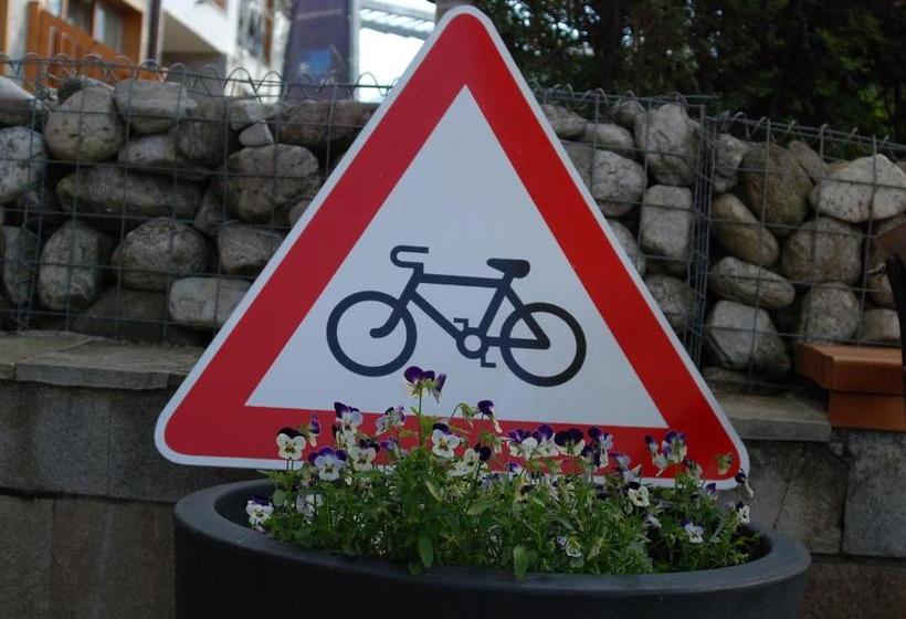 White Lavina Ski, Bike, Hike