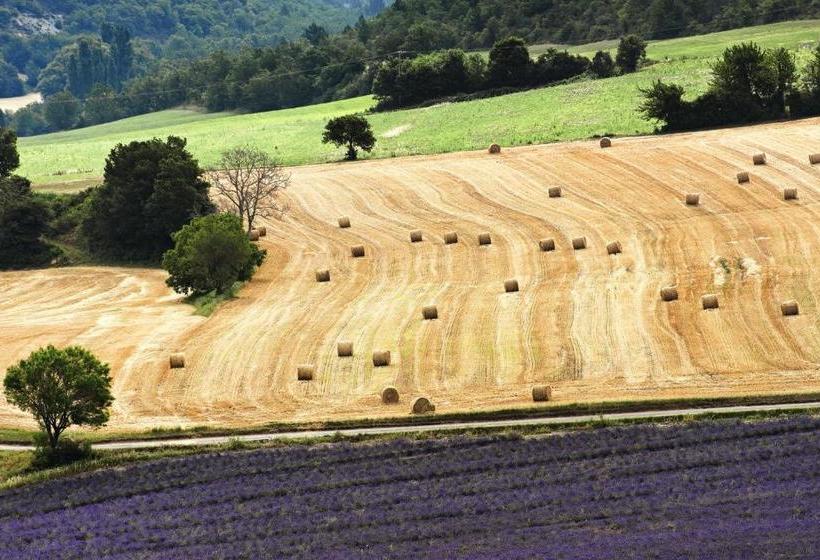 בית מלון כפרי Hôtel Galilee