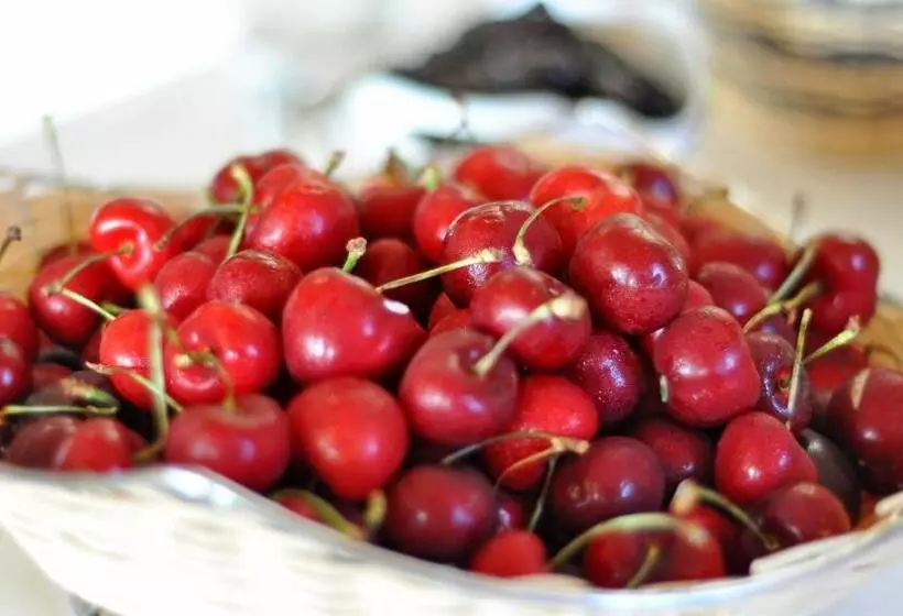 Grand Hotel Palladium Santa Eulalia Del Río